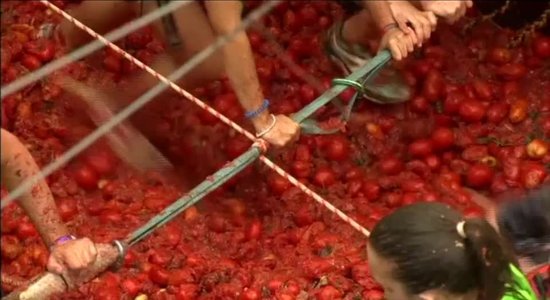 ФОТО, ВИДЕО: D Испании началась грандиозная помидорная битва La Tomatina