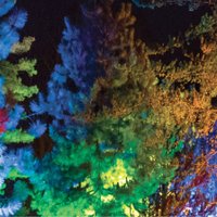 Decembra vakaros LU Botāniskais dārzs pārtaps par Ziemas gaismas dārzu
