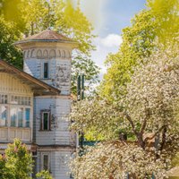 ФОТО. Нас встретит город-сад: Прогулки по весенней цветущей Юрмале