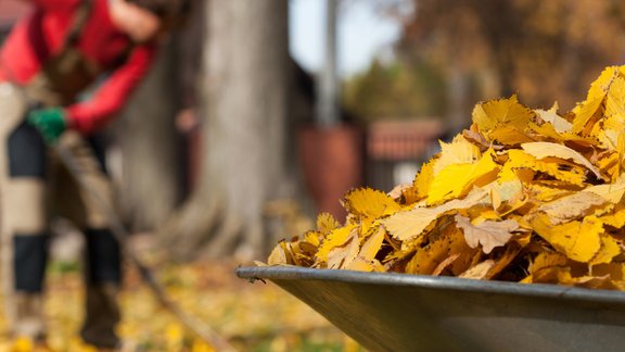  lapas rudens ķerra dārza darbi 