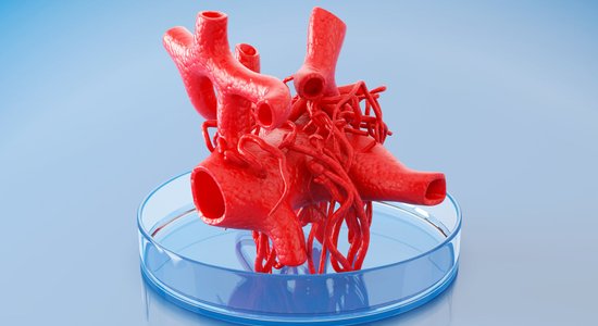Orgānu donoru vietā trīsdimensiju printeris – fantastika kļūst par īstenību arī Latvijā