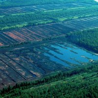 ZM un 'Latvijas valsts meži' bezatbildīgi apsaimnieko valsts derīgos izrakteņus, secina VK