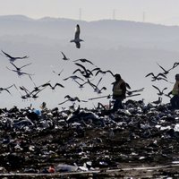 РД предложила действующим в столице предприятиям по вывозу отходов продолжить работу в Риге