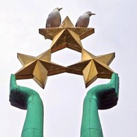 Brīvības pieminekļa zvaigznes, Preses nama jumts, lidmašīnu dzinēji – kam Latvijā līdz šim kaitējuši putni