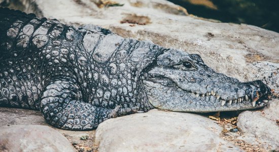 Četri veidi, kā mēdzam sabotēt savu izveseļošanos