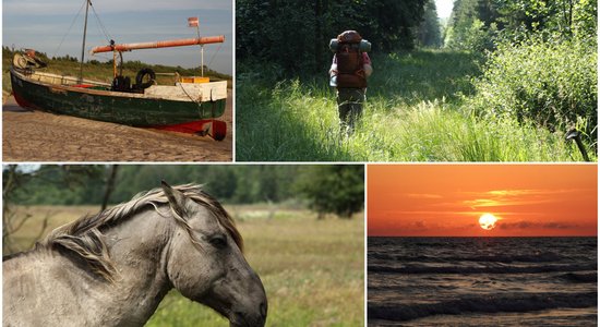 Kur jūra šalc skaļāk: 60 kilometru pārgājiens no Nidas līdz Liepājai