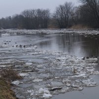 ФОТО ОЧЕВИДЦА: На реке Лиелупе начался ледоход