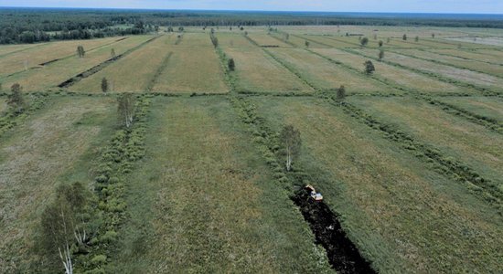 Aicina uz ainavu tūri un putnu vērošanu Lubāna mitrājā 7. maijā