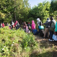 Foto: Haitieši no ASV masveidīgi brien pāri robežai uz Kanādu