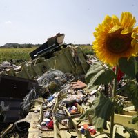 Разведка Германии обвиняет сепаратистов в катастрофе "Боинга" над Украиной