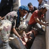 ANO: bailes pret 'Islāma valsti' liek Sīrijas iedzīvotājiem bēgt cauri mīnu laukiem