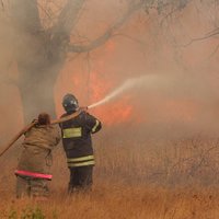 Igaunijas Aizsardzības spēku poligonā izcēlies meža ugunsgrēks
