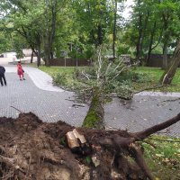 Jaunākā prognoze – jaunnedēļ vējš pierims, iespējams slapjš sniegs un salnas