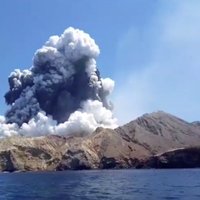 Извержение вулкана в Новой Зеландии: на острове не осталось живых