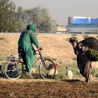 Autobusa un degvielas autocisternas sadursmē Afganistānā 38 bojāgājušie