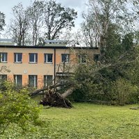 Postošā vētra Dobeles novadā: pašvaldībai nepieciešami 16,3 miljoni eiro