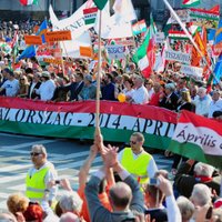 Венгерские правые вновь побеждают на выборах