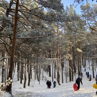 Ragaviņu prieki un meža pastaiga sniegotajā Bernātu dabas parkā