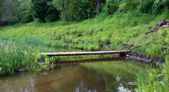 В Талсинском крае из водоема вытащили погибшего