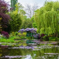 Aizraušanās mūža garumā – mākslinieka Kloda Monē izlolotais dārzs Živernī