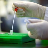 Латвия по количеству тестов на новый коронавирус отстает от Эстонии и Литвы