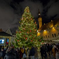 'Delfi' lasītāji par krāšņāko Ziemassvētku eglīti Baltijā atzīst Igaunijas svētku rotu