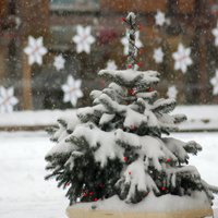 Pētījums: balti Ziemassvētki Latvijā būs retāk; lietusgāzes kļūs intensīvākas