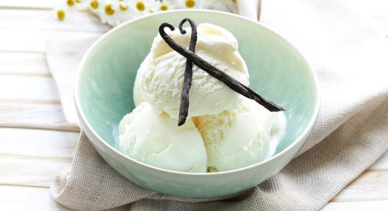 Вкус детства: как приготовить домашнее ванильное мороженое-пломбир (+ коллекция рецептов)