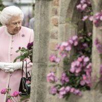 Karaliene Elizabete II akceptē likumprojektu bezvienošanās 'Brexit' novēršanai