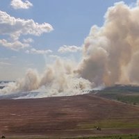 Под Талси вторые сутки горит лес и торфяники: пострадали уже шесть спасателей