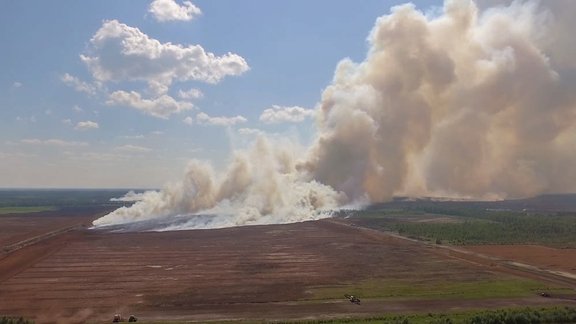 Plašais meža un kūdras ugunsgrēks Talsu novadā - 1