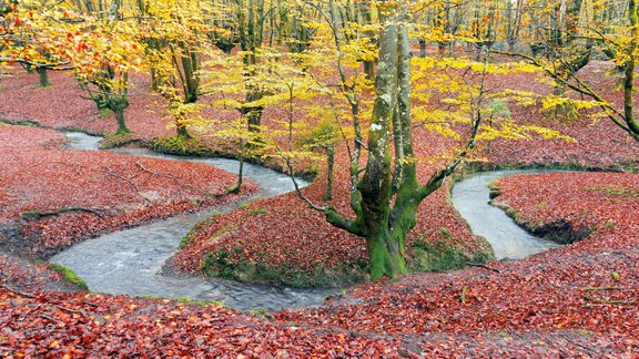 Gorbea Natural Park 2