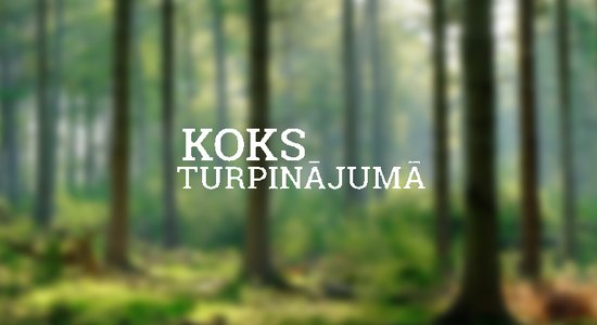 Koks turpinājumā #9: Fiziķis Vjačeslavs Kaščejevs