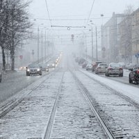 Фенолог о погоде в феврале: ночами еще будут морозы до -20 градусов