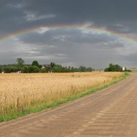 Lai uzlabotu satiksmes drošību, jāsakārto ceļi, secina likumsargi