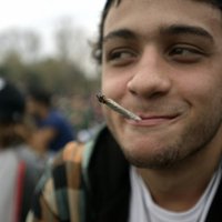 Urugvajā ikviens var legāli audzēt sešus marihuānas stādus