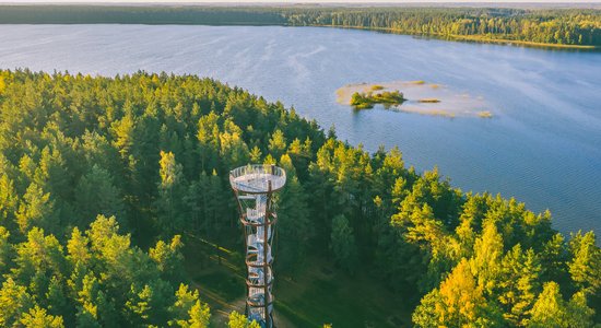 Virs koku galotnēm: skatu torņi un platformas Lietuvā