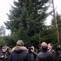 Самая высокая елка Риги — на набережной 11 Ноября
