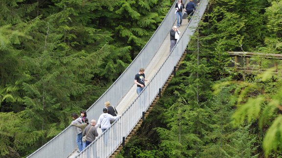 Capilano Suspension Bridge09