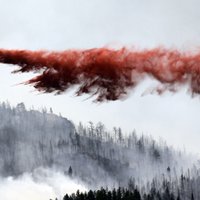 Mežu ugunsgrēku dēļ evakuēti 11 tūkstoši Kolorado štata iedzīvotāju