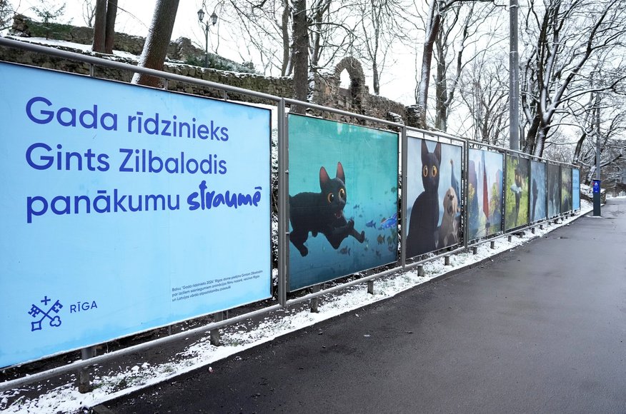 ФОТО, ВИДЕО. В центре Риги появился кот из мультфильма "Поток", с ним можно сфотографироваться