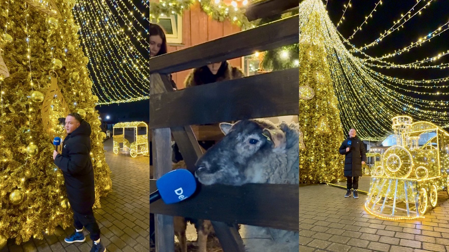 Video: "Delfi" meklē, kur Rīgā atrast svētku noskaņu