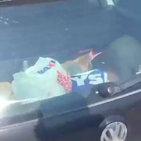 Video: Sestdienas svelmē 'Alfa' stāvvietā auto bagāžniekā ieslēgts suns