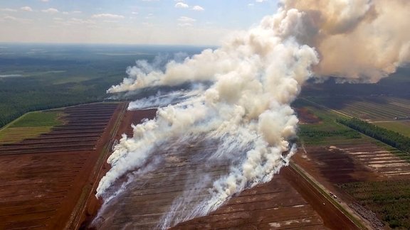 Plašais meža un kūdras ugunsgrēks Talsu novadā - 2