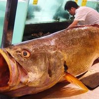 Ķīnā zvejnieks noķēris beigtu 'zelta zivtiņu'