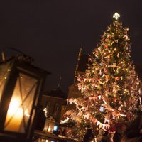 На Домской площади зажжется главная рождественская елка Риги