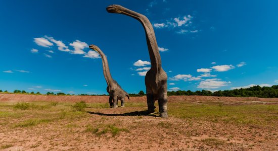 Pētījums: Dinozauru skeleti sniedz maldīgu priekšstatu par aizvēsturisko rāpuļu izmēru