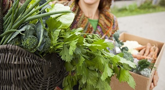 Rīdzinieku lielpasūtījums: uzzini savas pārtikas stāstu un pērc bioloģiski audzētus produktus tieši no zemnieka