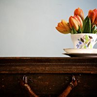 Ziedošā tulpju daile interjerā – idejas, ko nošpikot savam mājoklim