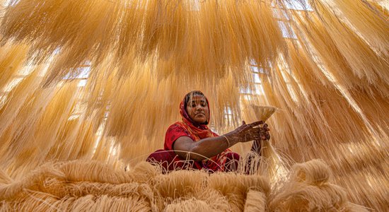 Dienas ceļojumu foto: Rīsu nūdeļu fabrika Bangladešā